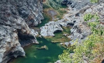 Жд билеты мобильная